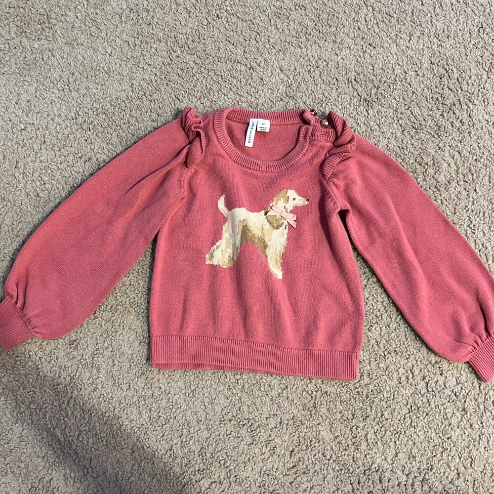 Janie and Jack sweater